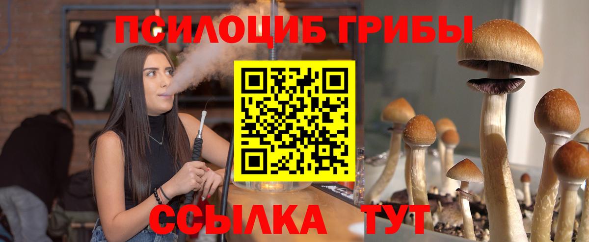Галлюциногенные грибы мицелий  Вход с VPN  Кинель 